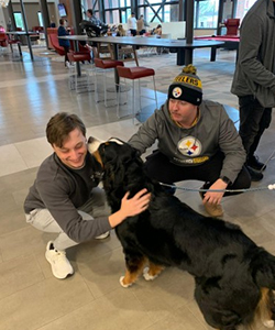 Young men pet dogs