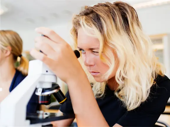 A neuroscience student